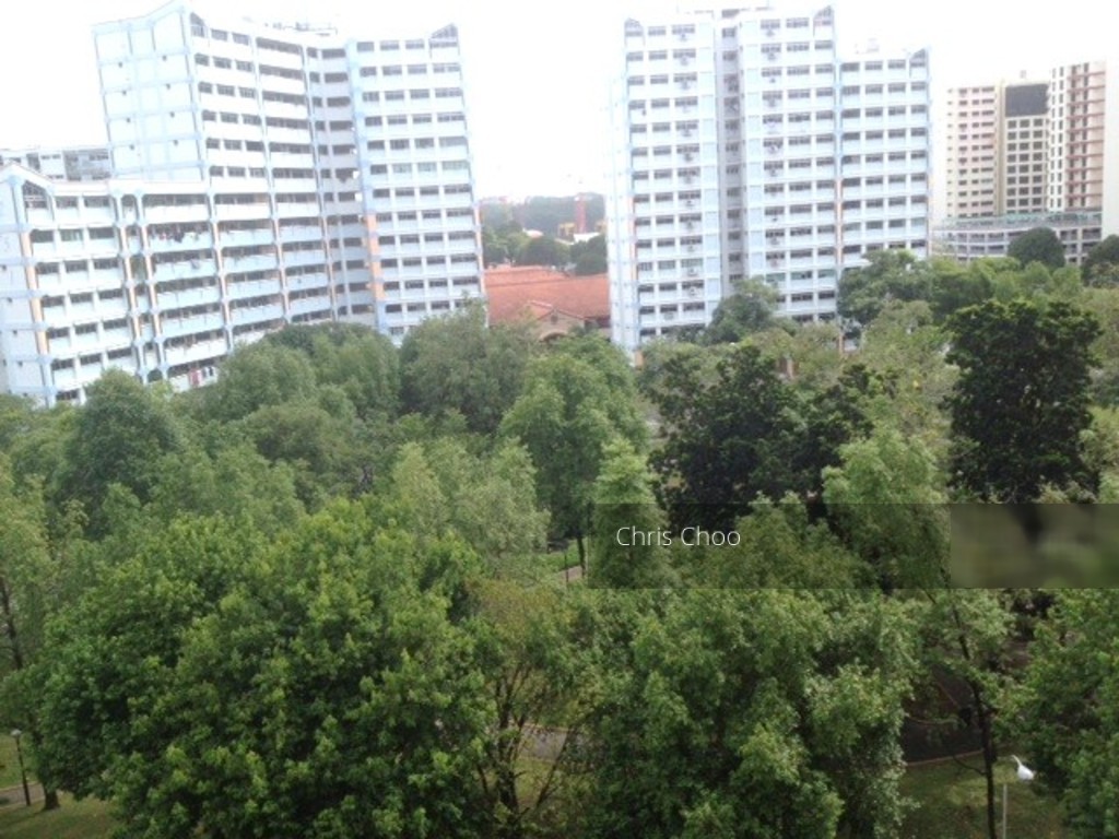 Blk 276 Choa Chu Kang Avenue 2 (Choa Chu Kang), HDB 4 Rooms #129875092